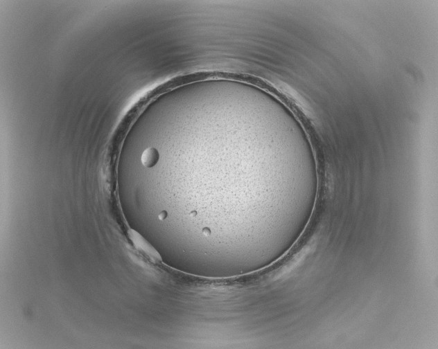 X0000115680830200911251750