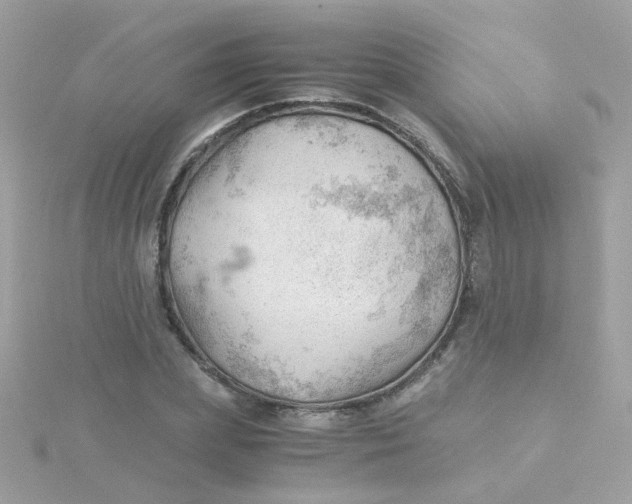 X0000115680831200911251750