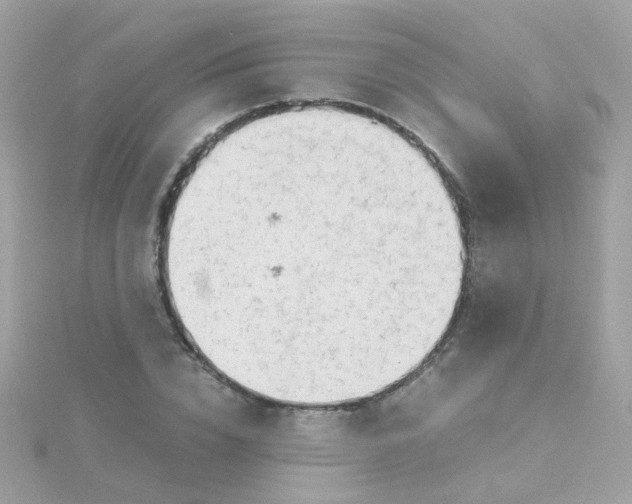 X0000115680832200911251750