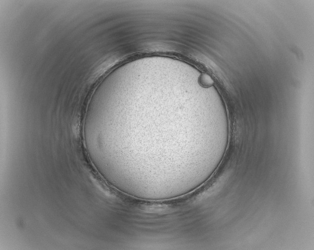 X0000115680833200911251750