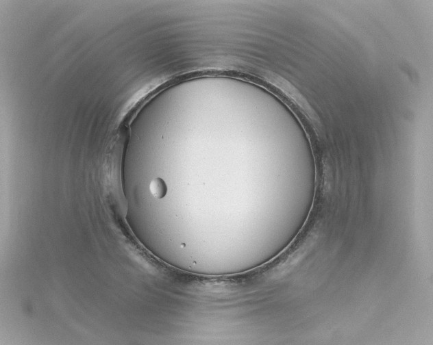 X0000115680834200911251750