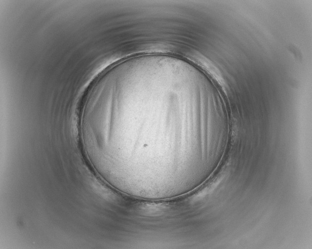 X0000115680835200911251750