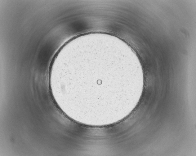 X0000115680836200911251750