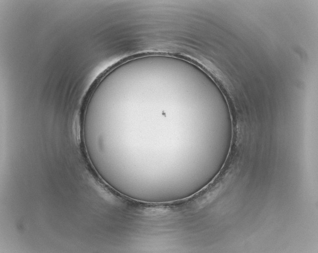 X0000115680838200911251750