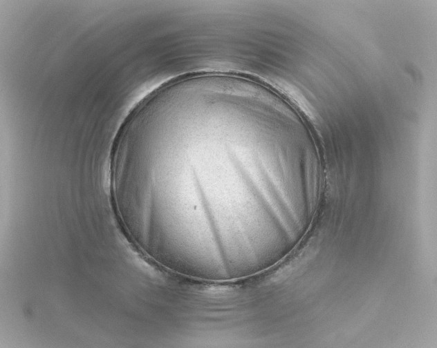 X0000115680839200911251750