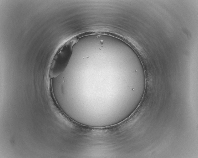 X0000115680840200911251750