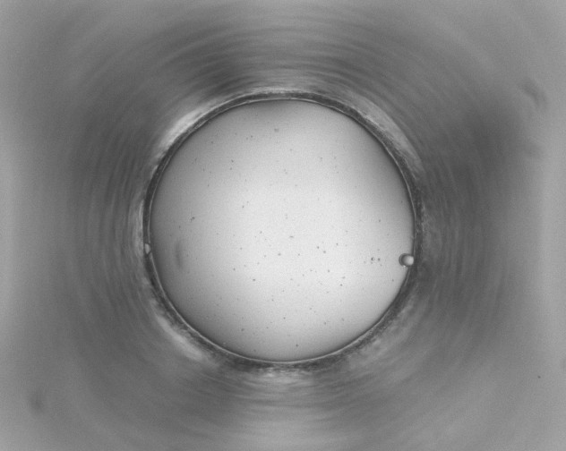 X0000115680842200911251750