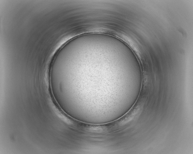 X0000115680843200911251750