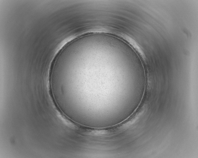 X0000115680845200911251750