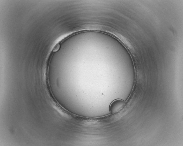 X0000115680846200911251750