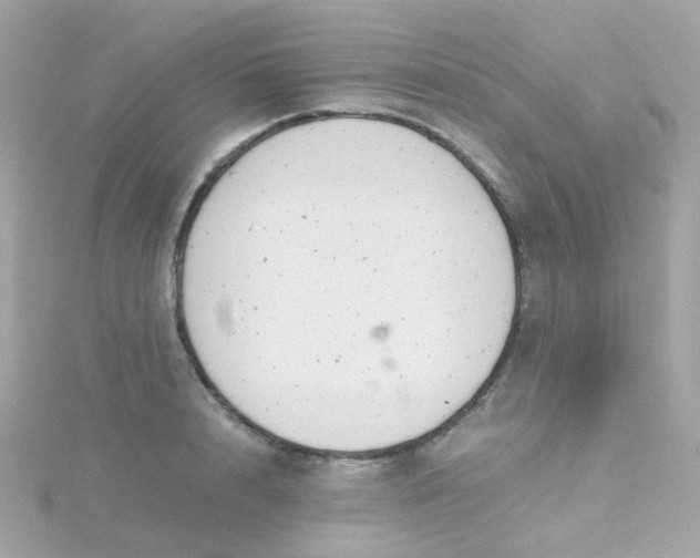 X0000115680848200911251750