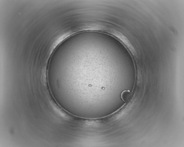 X0000115680850200911251750