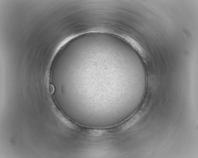 X0000115680854200911251750