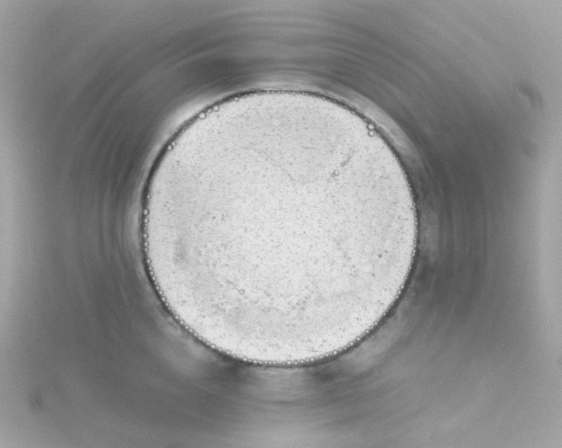 X0000115680856200911251750