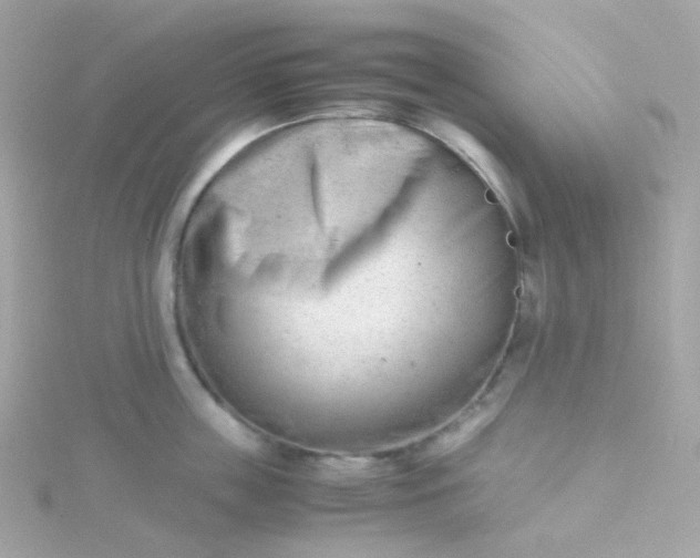 X0000115680859200911251750