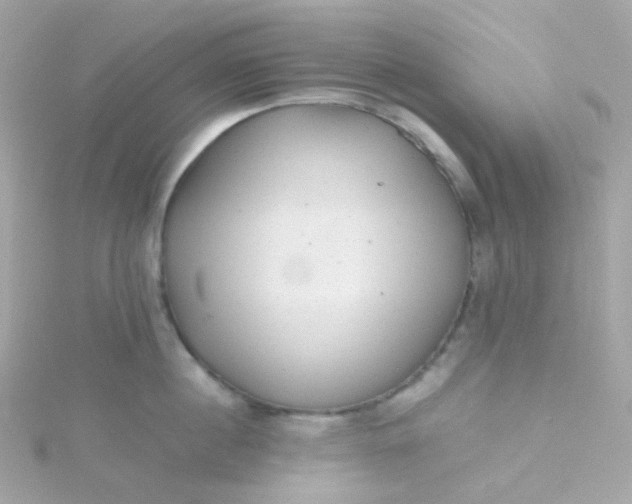 X0000115680860200911251750