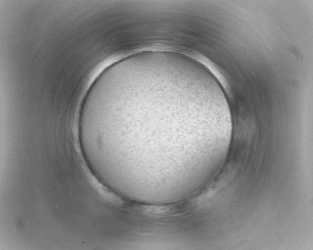 X0000115680861200911251750