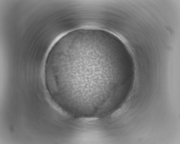 X0000115680864200911251750