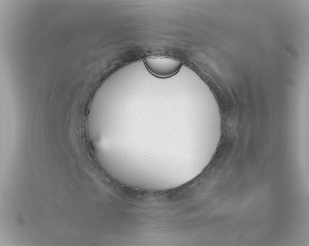 X0000115680865200911251750