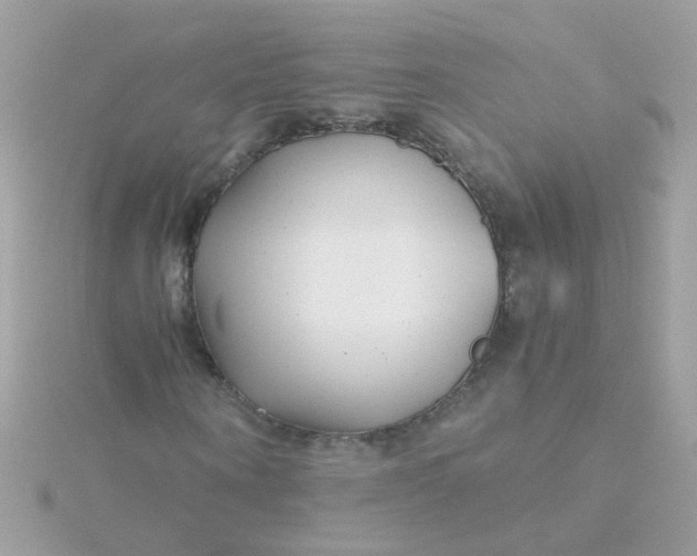 X0000115680866200911251750