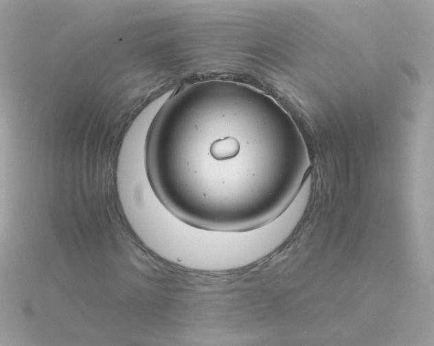 X0000115680868200911251750