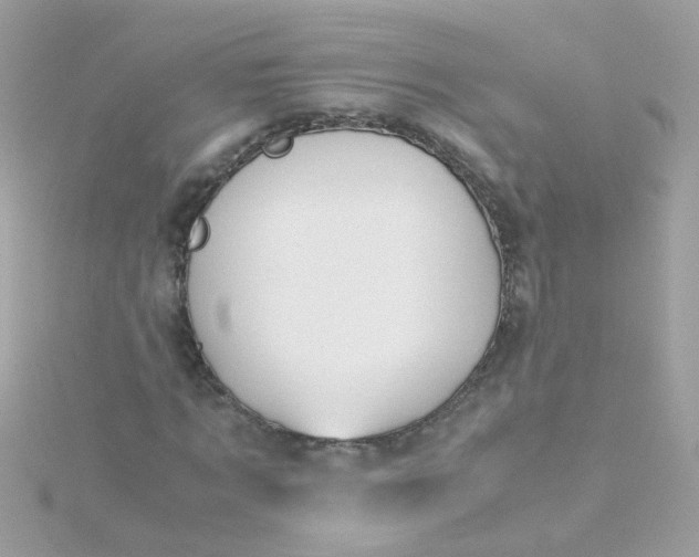 X0000115680869200911251750