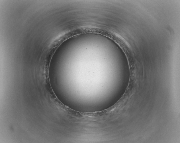 X0000115680870200911251750