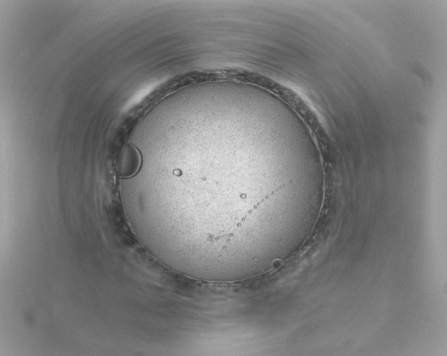 X0000115680871200911251750