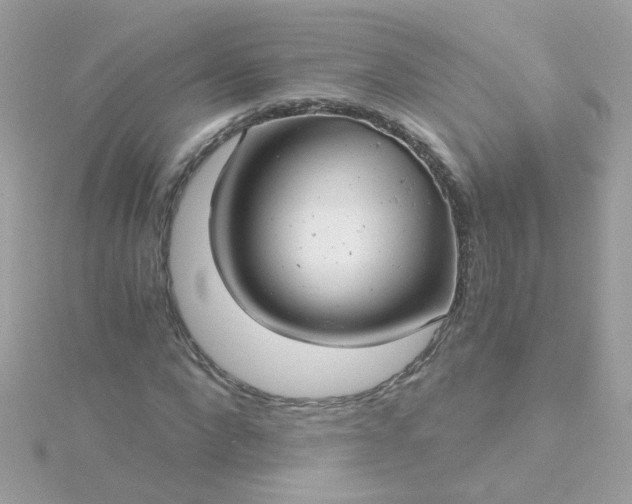 X0000115680872200911251750