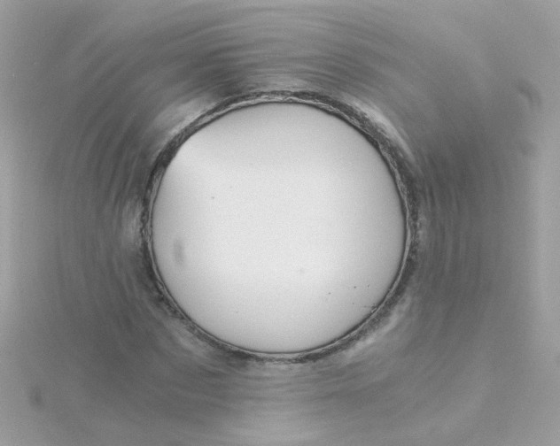 X0000115680873200911251750