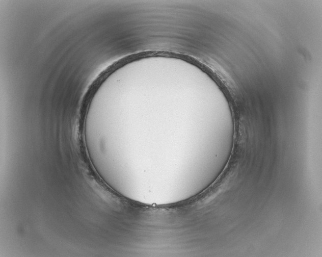 X0000115680880200911251749