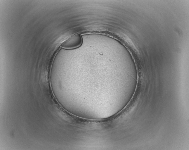 X0000115680881200911251749