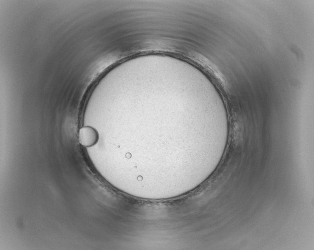 X0000115680882200911251749