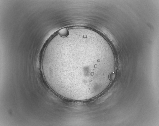 X0000115680883200911251749