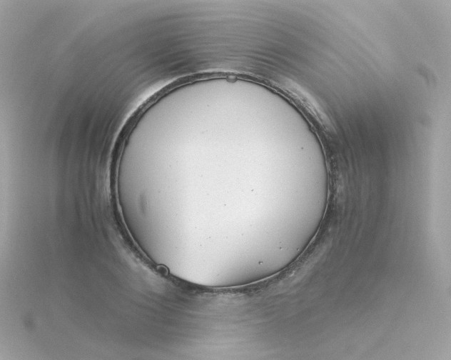 X0000115680884200911251749