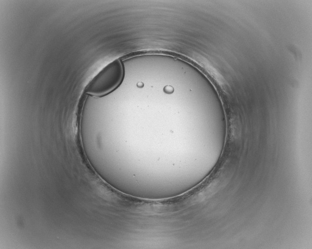 X0000115680885200911251749