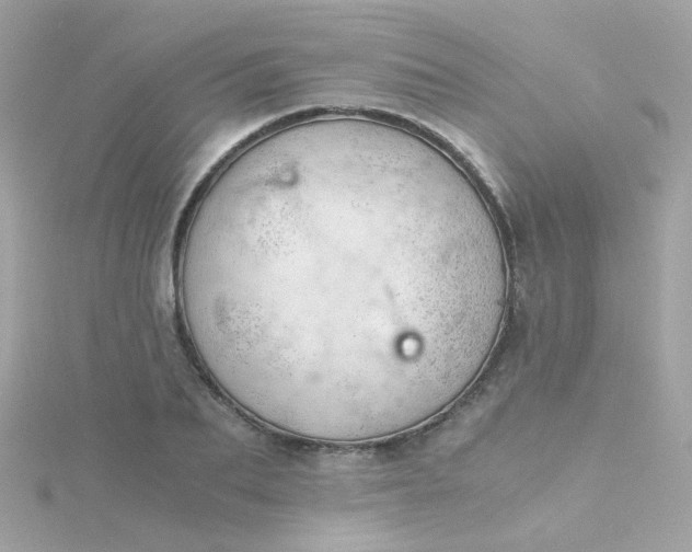 X0000115680887200911251749