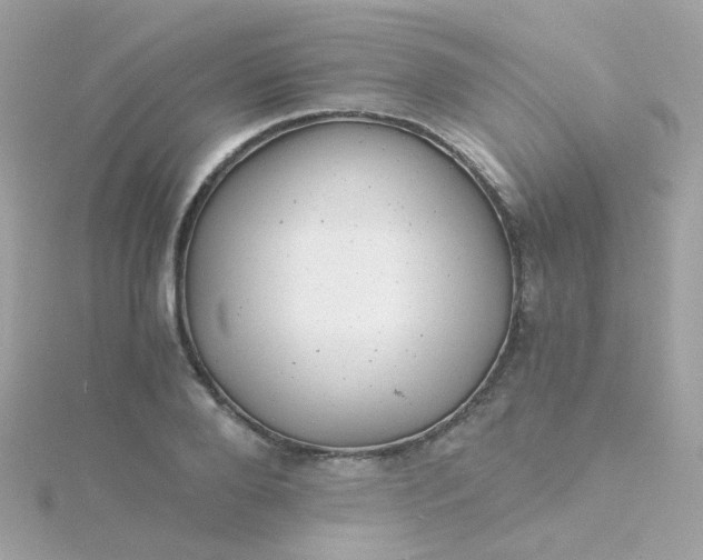 X0000115680888200911251749