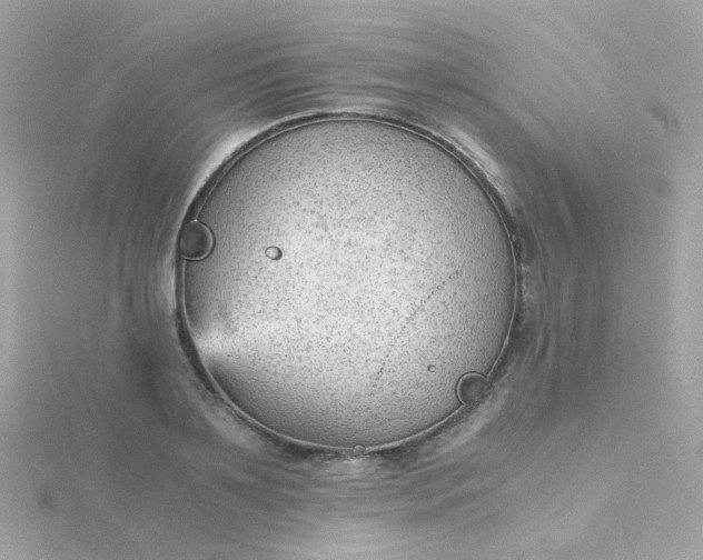 X0000115680891200911251749