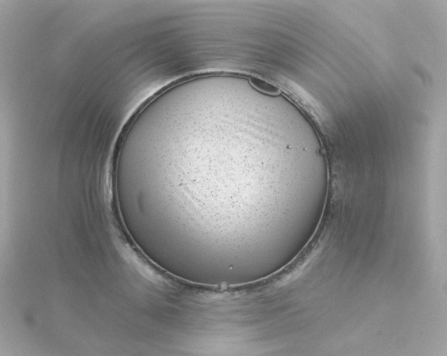 X0000115680892200911251749