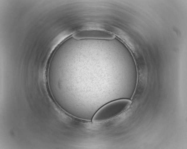 X0000115680893200911251749