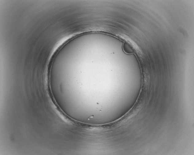 X0000115680894200911251749