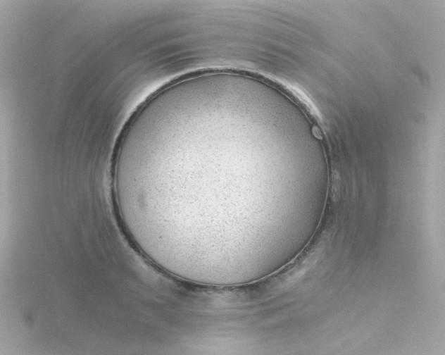 X0000115680895200911251749