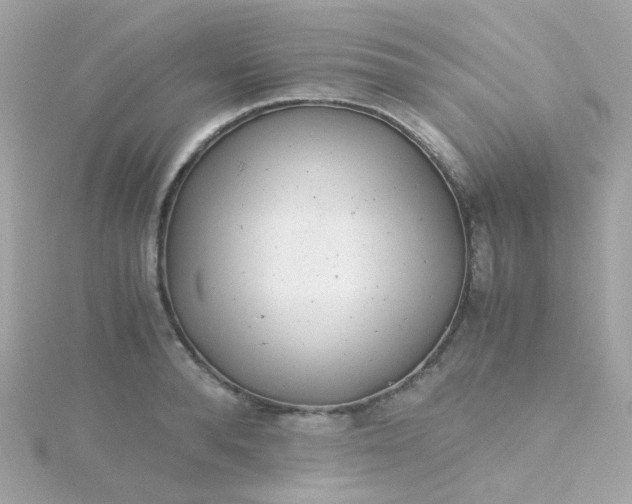 X0000115680896200911251749