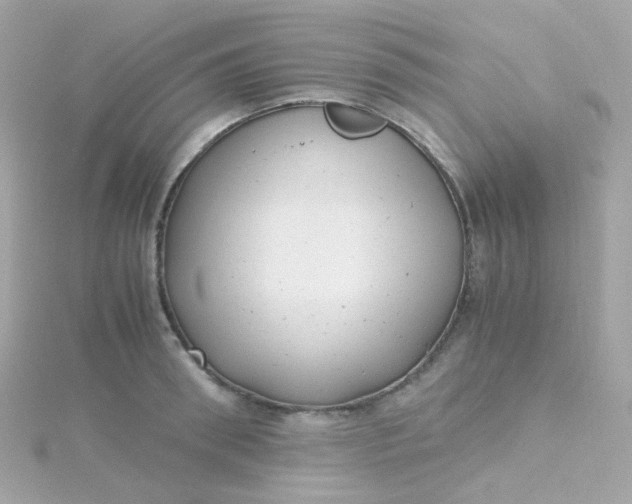 X0000115680898200911251749