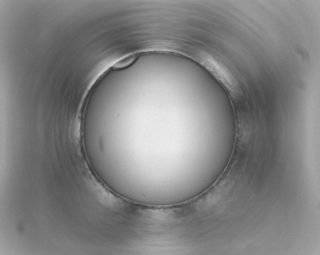 X0000115680900200911251749