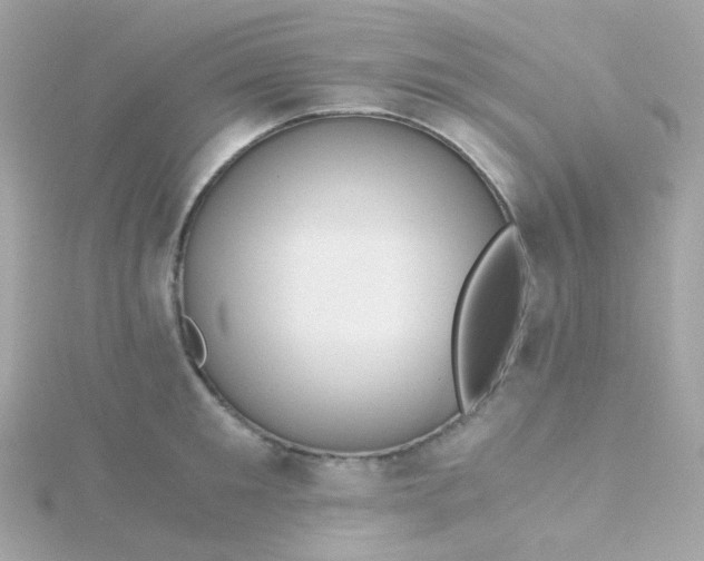 X0000115680901200911251749