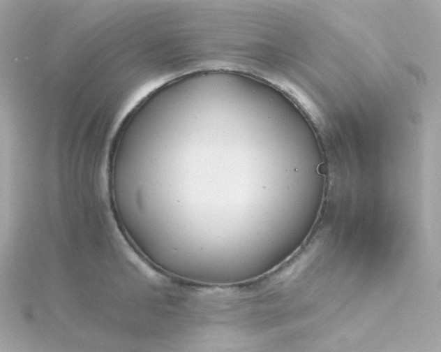 X0000115680902200911251749