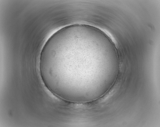 X0000115680903200911251749