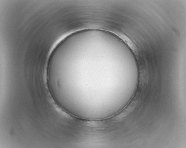 X0000115680904200911251749